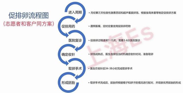 贴吧试管婴儿 贴吧试管婴儿