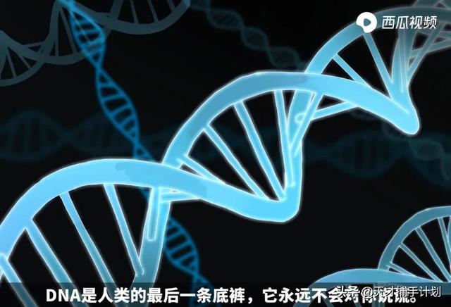 试管婴儿亲子鉴定 试管婴儿亲子鉴定
