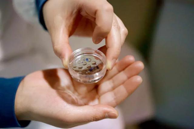 试管婴儿的父母 试管婴儿的父母