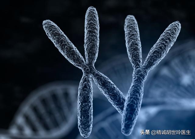 试管婴儿第三代价格 试管婴儿第三代价格