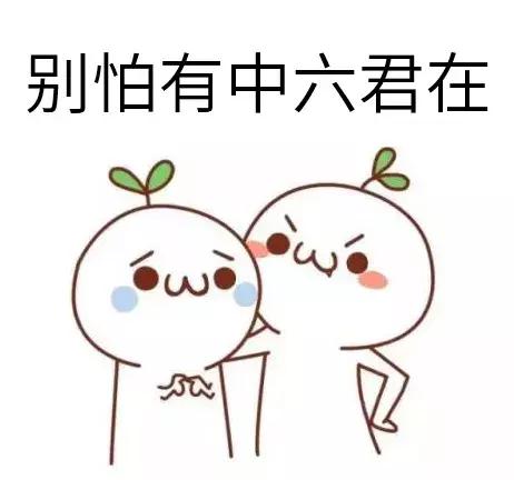 试管婴儿论文 试管婴儿论文