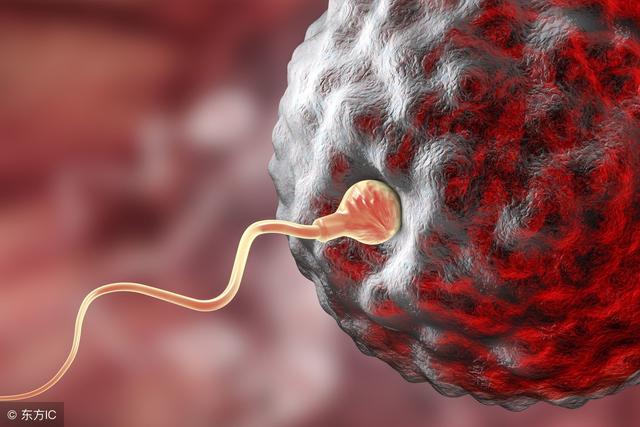 试管婴儿对精子的要求精子质量不好试管婴儿