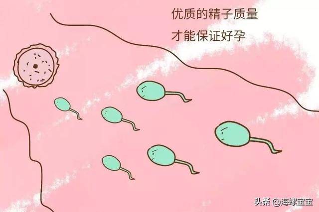 男人死精能试管婴儿么