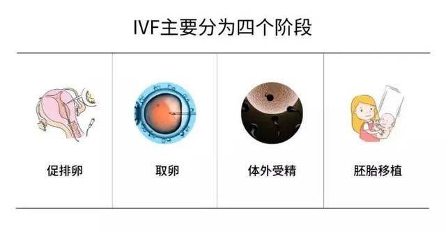 试管婴儿冲洗 试管婴儿冲洗