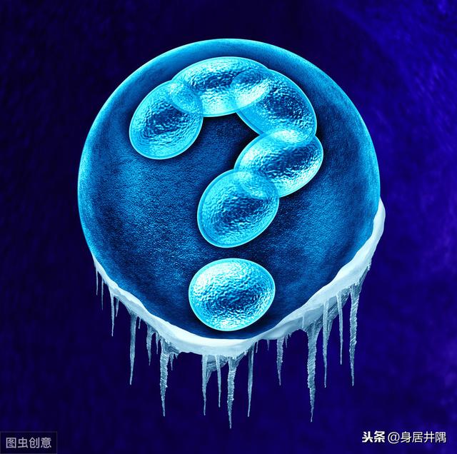 试管婴儿分享 试管婴儿分享