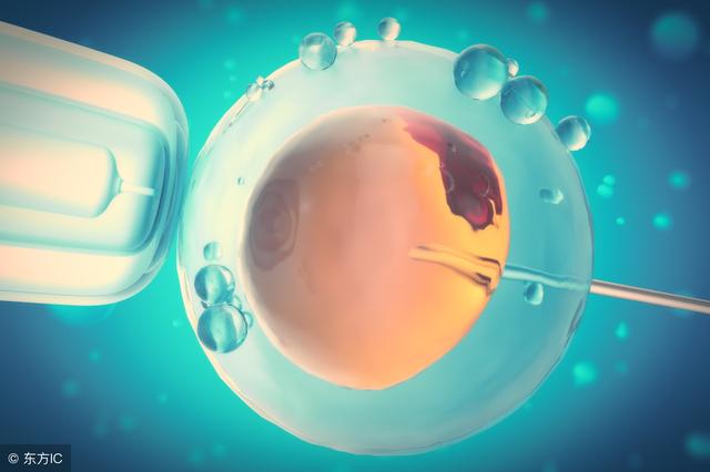 男性无精子可以做试管婴儿吗 男性无精子可以做试管婴儿吗
