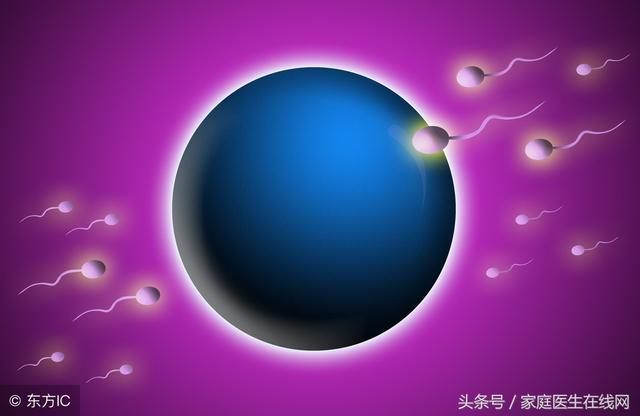 试管婴儿是有 试管婴儿是有
