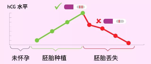 试管婴儿抽血hcg 试管婴儿抽血hcg