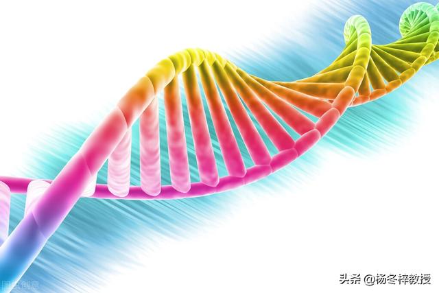 做试管婴儿之前需要注意哪些 做试管婴儿之前需要注意哪些