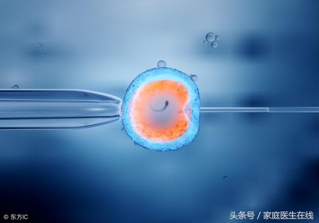 孩子是试管婴儿 孩子是试管婴儿