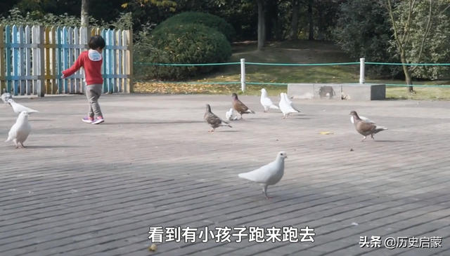 苏州做试管婴儿好的医院 苏州做试管婴儿好的医院