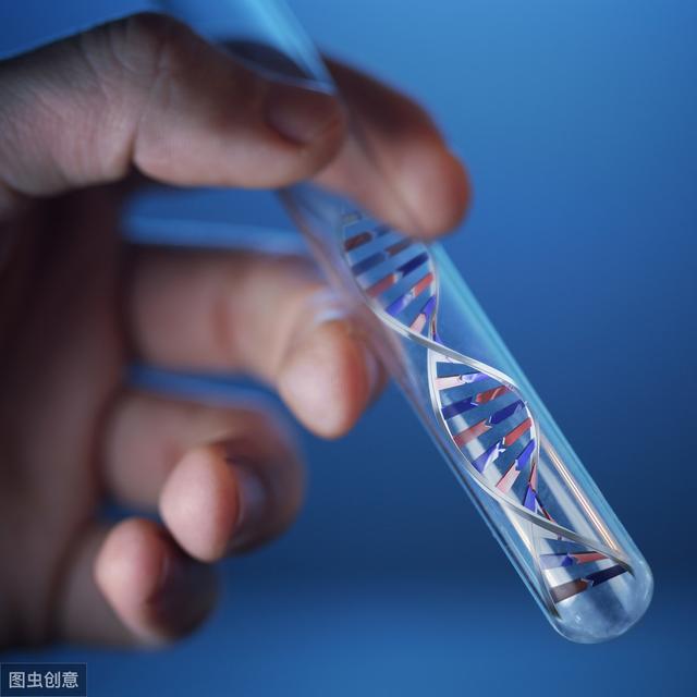 肥胖与试管婴儿 肥胖与试管婴儿