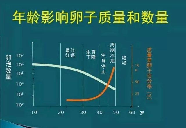 50岁能做试管婴儿 50岁能做试管婴儿