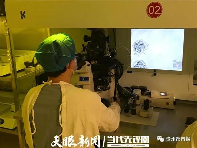 贵州做试管婴儿 贵州做试管婴儿
