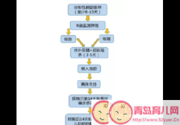 试管婴儿需要什么条件才可以做三种人不能做试管