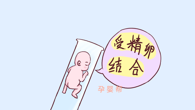 试管婴儿长寿吗 试管婴儿长寿吗