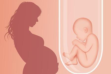 第一代试管婴儿性别一代试管男女比例