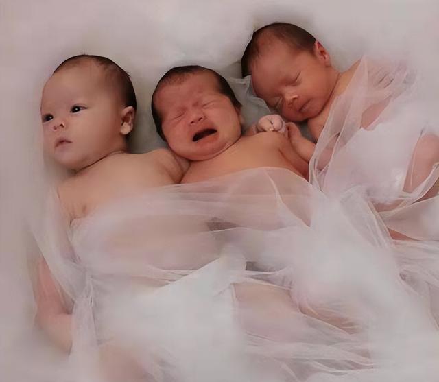 试管婴儿帅 试管婴儿帅