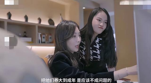 试管婴儿帅 试管婴儿帅