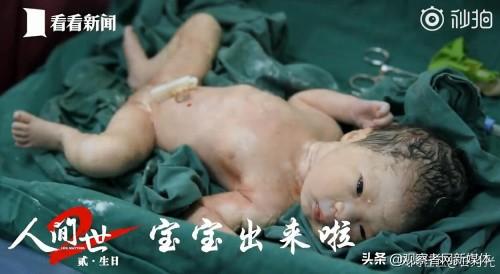 5次试管婴儿 5次试管婴儿