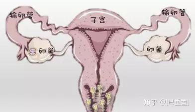 不孕试管婴儿(服务完善的试管婴儿)