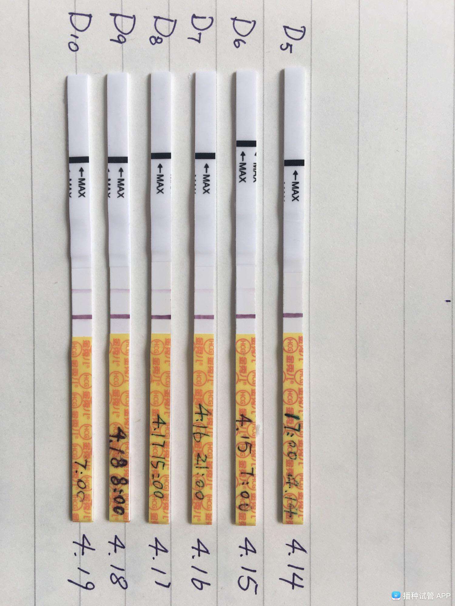 试管婴儿播种网(试管婴儿播种网app最新版)