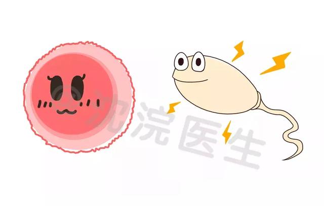 试管婴儿短方案多少天 试管婴儿短方案多少天