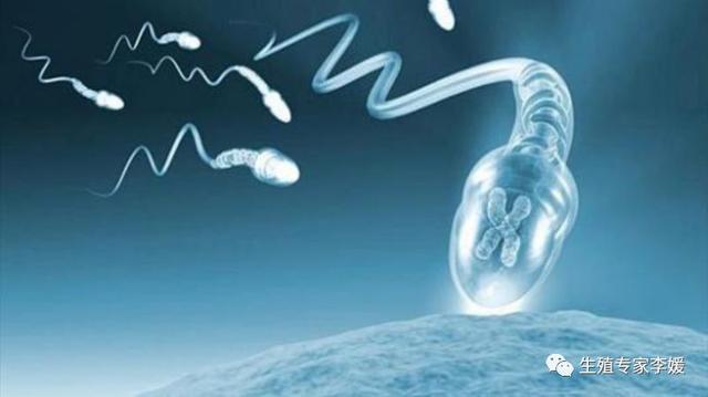 精子畸形率高能做试管婴儿吗 精子畸形率高能做试管婴儿吗