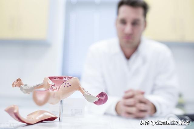 试管婴儿短方案是什么(试管婴儿哪个方案好)