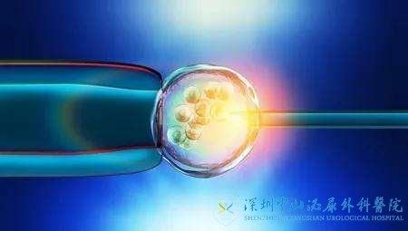 试管婴儿有成功的吗试管婴儿怎么算预产期