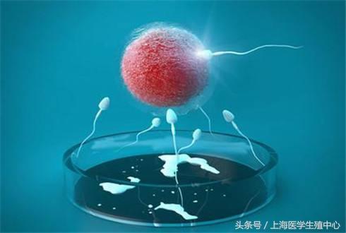45岁做试管婴儿成功率多少46岁还有必要做试管