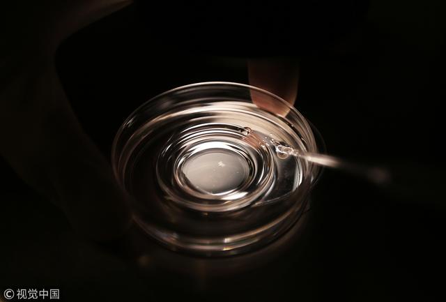 深圳试管婴儿费用多少(珠海做试管婴儿的费用多少)