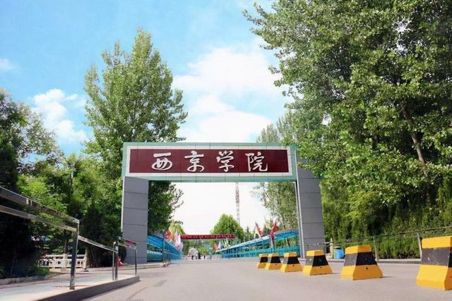 中国试管婴儿第一人 中国试管婴儿第一人