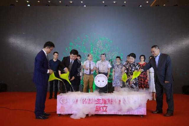 pgd试管婴儿 pgd试管婴儿