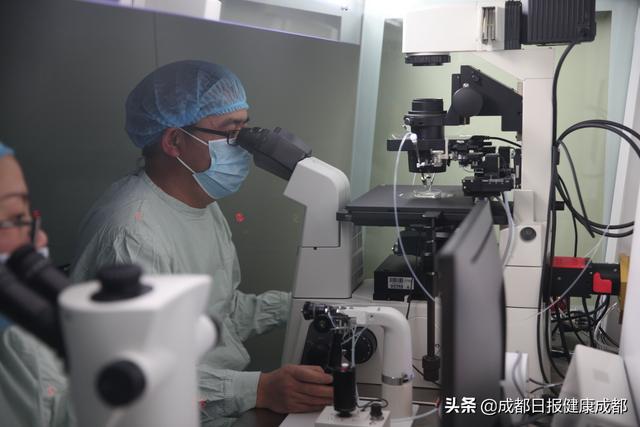 成都试管婴儿(成都三代试管婴儿包成功)