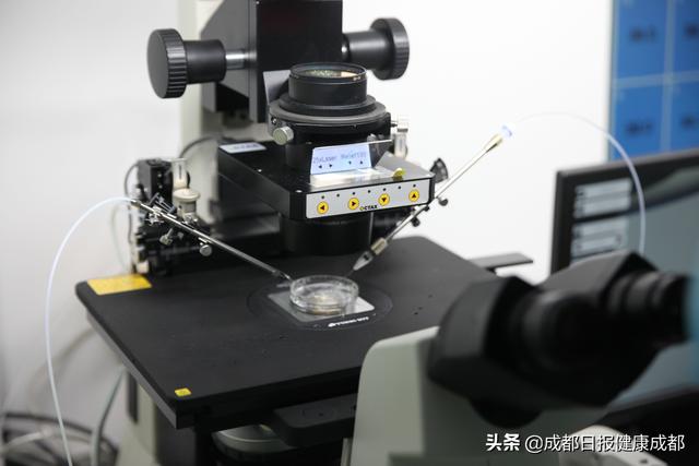 成都试管婴儿 成都试管婴儿