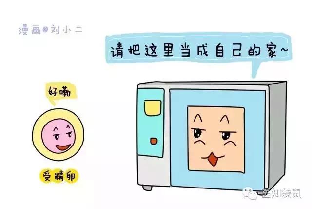 试管婴儿男女概率 试管婴儿男女概率