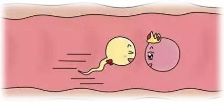 北医三院试管婴儿成功率 北医三院试管婴儿成功率