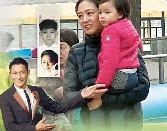 杨威试管婴儿 杨威试管婴儿