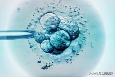 做试管婴儿怀孕就可以了是吗(试管婴儿多久能怀上)