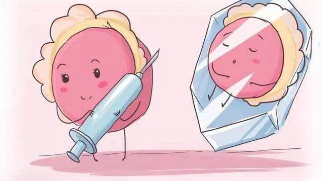 试管婴儿的双胞胎几率试管婴儿做一次多少钱