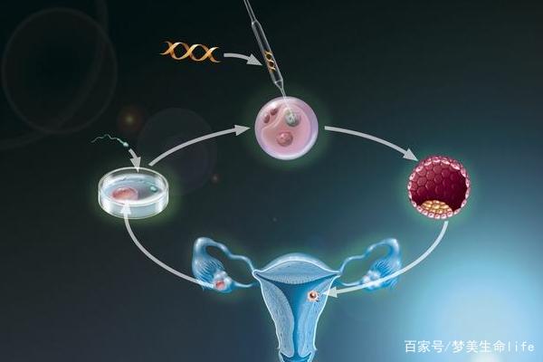 试管婴儿要多久才能完成做试管婴儿过程多少天