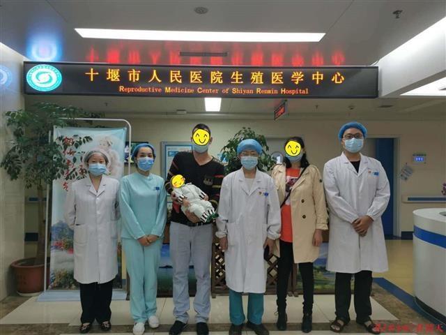 试管婴儿肾