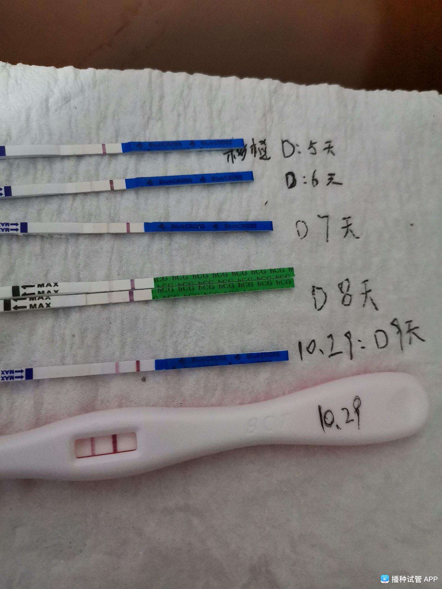 试管婴儿第二天移植后妙招有利于着床