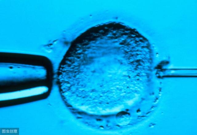 想要男孩可以做试管婴儿吗 想要男孩可以做试管婴儿吗