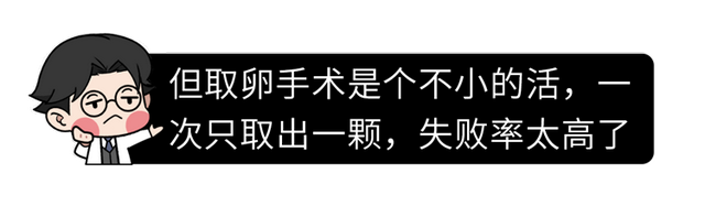 试管婴儿心得 试管婴儿心得