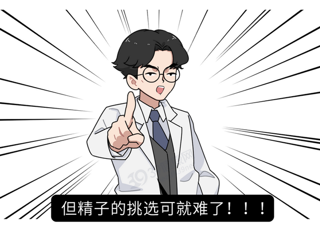 试管婴儿心得 试管婴儿心得