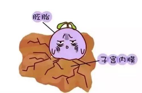 45岁做试管婴儿成功率有多高 45岁做试管婴儿成功率有多高