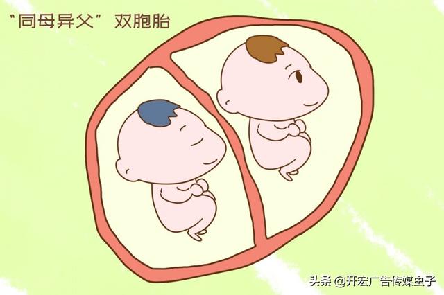 试管婴儿长得不像父母 试管婴儿长得不像父母