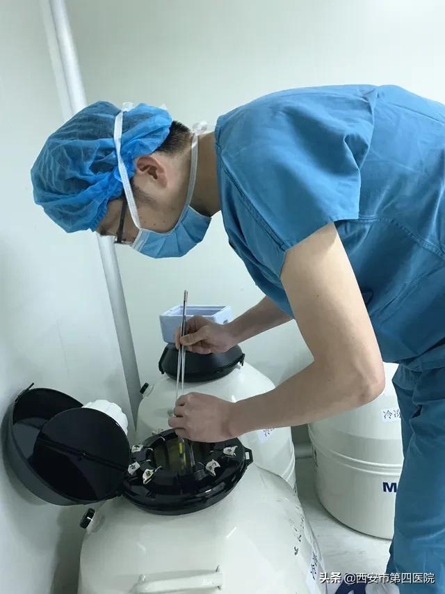 西安试管婴儿哪家好 西安试管婴儿哪家好